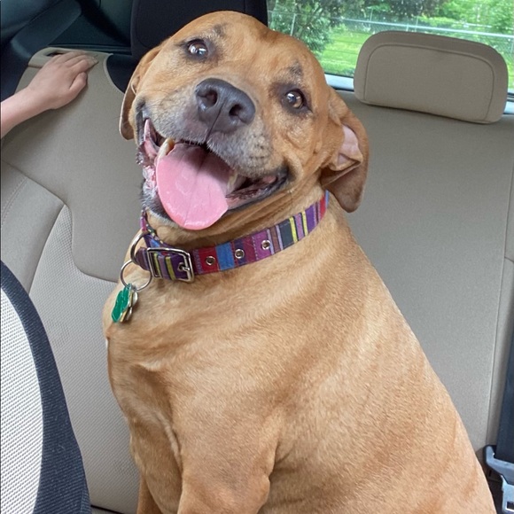 Meet your Posher, Jana - Picture 3 of 7